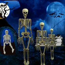 Load image into Gallery viewer, Poseable Full Life Size Skelet Halloween Decoratie Party Prop