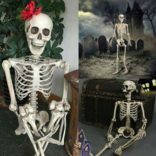 Load image into Gallery viewer, Poseable Full Life Size Skelet Halloween Decoratie Party Prop