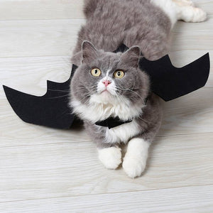 Cute Halloween Cat Costume