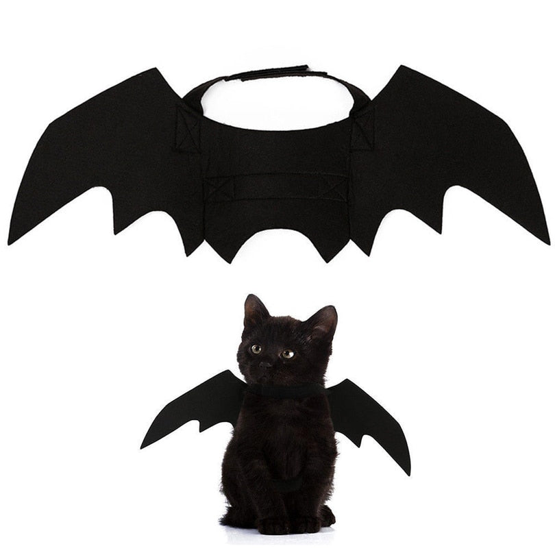 Cute Halloween Cat Costume